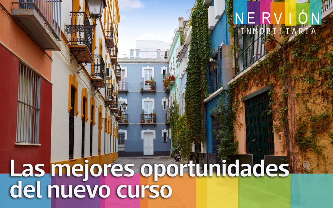 Las mejores oportunidades del nuevo curso en Sevilla